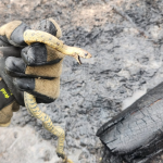 Personal del Cuerpo de Bomberos de Azogues rescató a una serpiente en un incendio forestal en un sector del cantón. /Cortesía