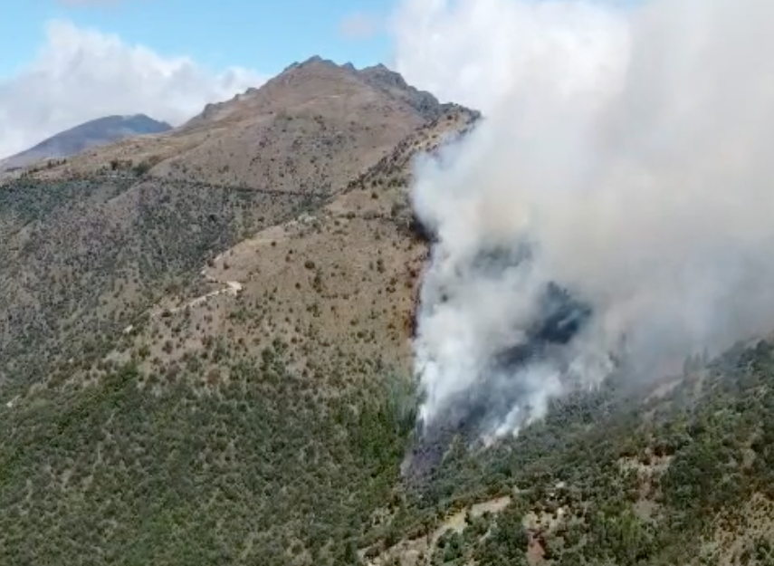 Un grave invendio forestal se registró en Cochapamba, parroquia Molleturo. /Cortesía