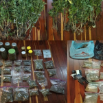 Caleb Eugene B., alias ‘Gringo’, recibió prisión preventiva tras ser hallado con cultivo de droga en Sustag, parroquia Baños. /Cortesía