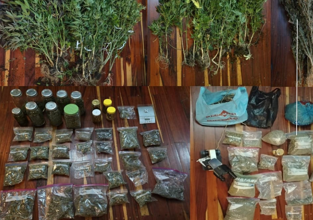 Caleb Eugene B., alias ‘Gringo’, recibió prisión preventiva tras ser hallado con cultivo de droga en Sustag, parroquia Baños. /Cortesía