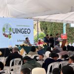 aniversario - quingeo