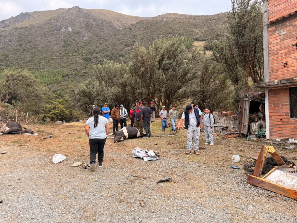 El camión transportaba ganado. Foto: El Mercurio