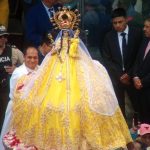 Cisne - Virgen