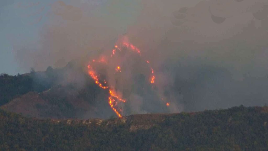 El Cuerpo de Bomberos de Cuenca presentó una denuncia formal ante la Fiscalía por un grave incendio forestal que se dio en el cerro Guagualzhumi. /Cortesía