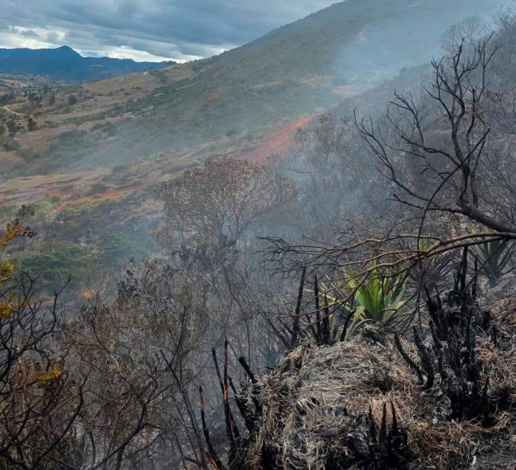 En Ludo han ocurrido dos incendios en las dos últimas semanas. Foto: Bomberos Sígsig