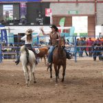 feria - agropecuaria