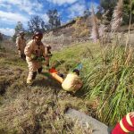 Como Adriana Gabriela Guzmán Chablay fue identificada la mujer hallada muerta en El Descanso.