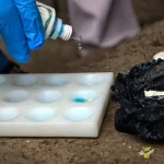 Alias ‘Marlene’ y alias ‘Flaco’ están con prisión preventiva por presunta venta de droga en Cuenca. /Cortesía