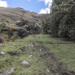 años - Cajas