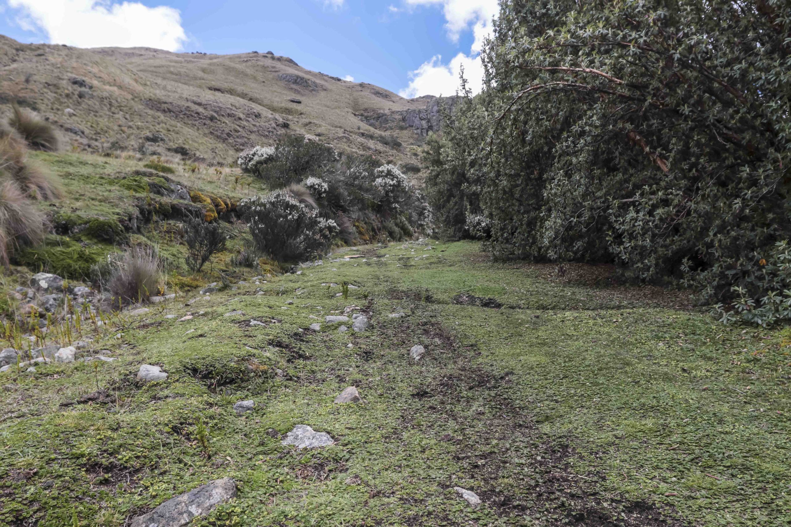 años - Cajas