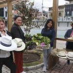 emprendimientos - mujeres