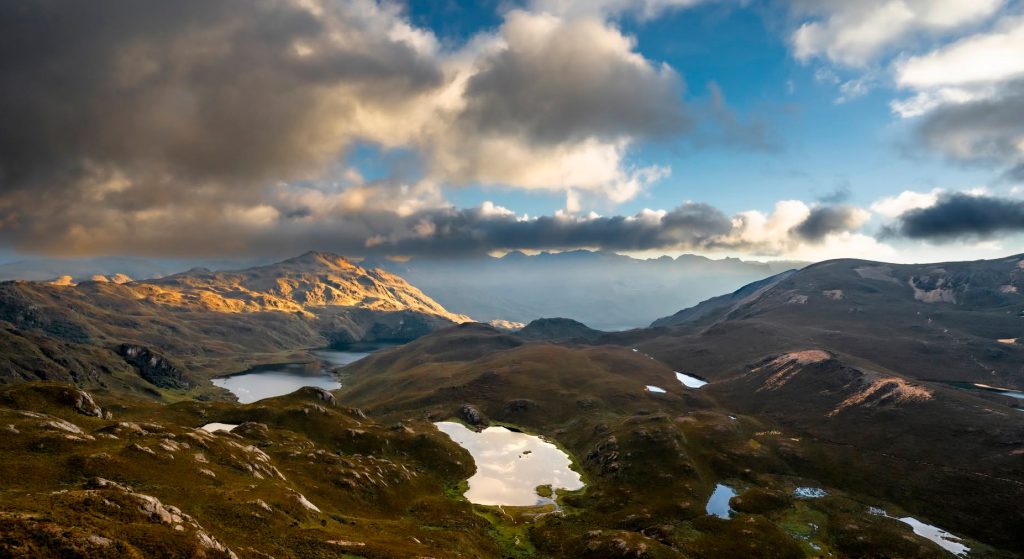 La falta de conciencia de algunas personas pone en riesgo el Parque Nacional Cajas. Foto: Andrés Mazza para El Mercurio