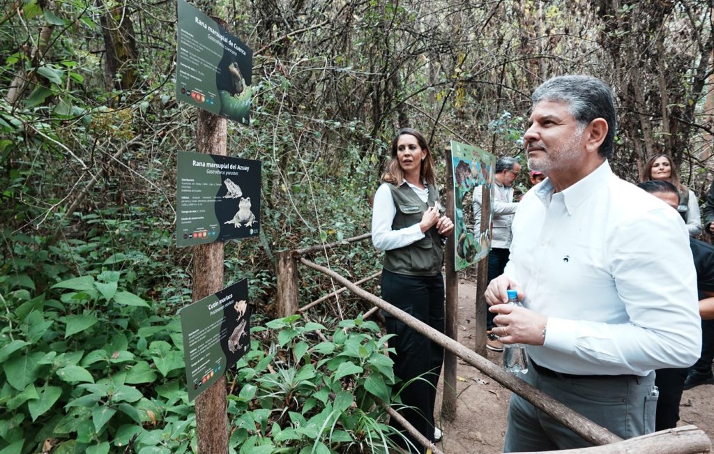 Zona del humedal en el Bioparque Amari al que se trasladaron a los anfibios rescatados antes de la construcción del proyecto inmobiliario. /EL MERCURIO